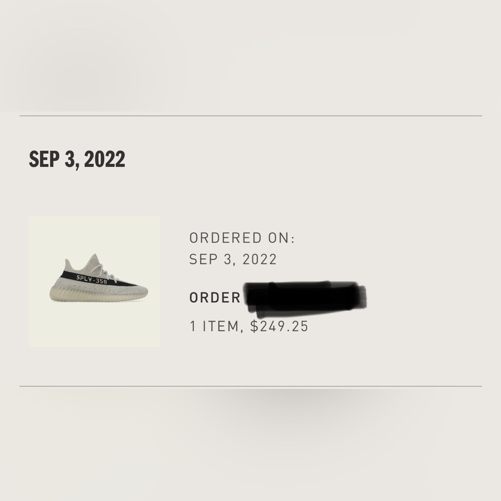 Yeezy Sneakers Size 5